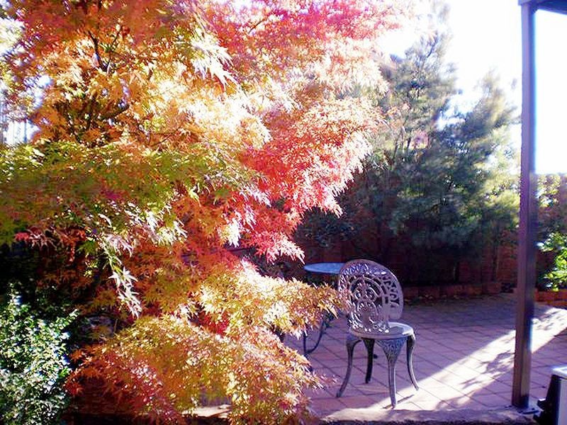 6/16 Hakea Street, Queanbeyan NSW 2620