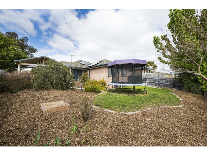 113 Morton Street, Queanbeyan NSW 2620