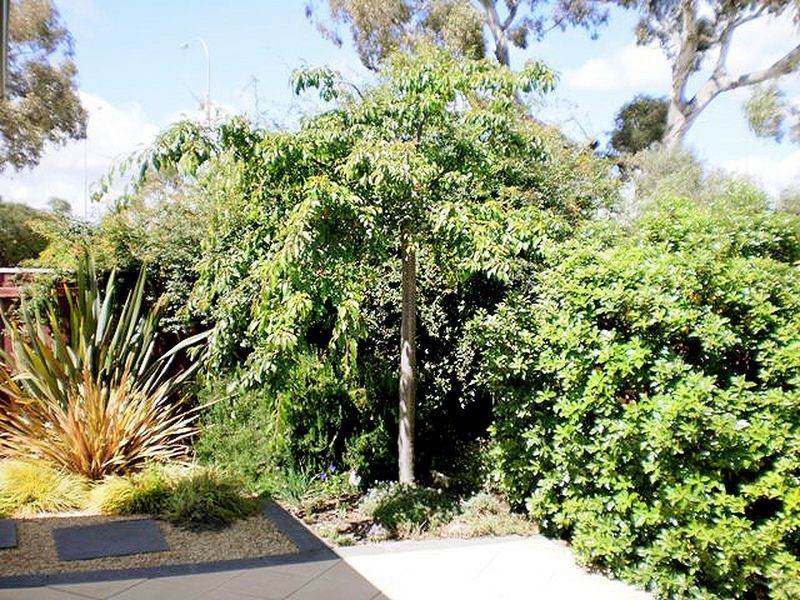 57 Bluestone Gardens, Jerrabomberra NSW 2619