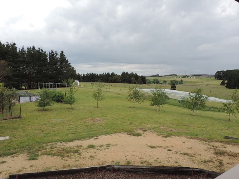 1363 Tarago Road, Bungendore NSW 2621