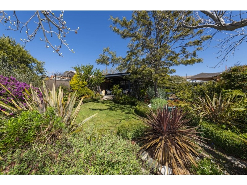 19 Bendora Avenue, Queanbeyan NSW 2620