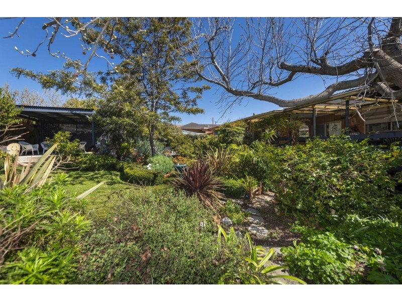 19 Bendora Avenue, Queanbeyan NSW 2620