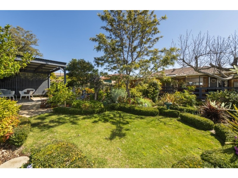 19 Bendora Avenue, Queanbeyan NSW 2620