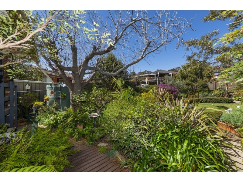 19 Bendora Avenue, Queanbeyan NSW 2620