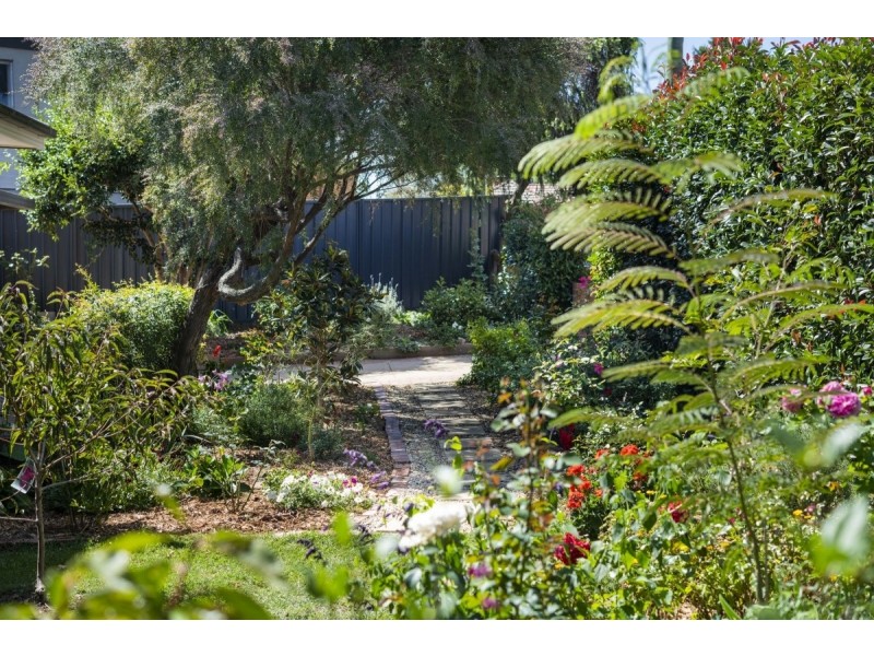 6 Davison Street, Queanbeyan NSW 2620