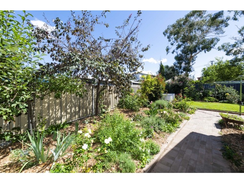 6 Davison Street, Queanbeyan NSW 2620