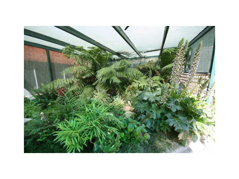 2 Cassinia Street, Queanbeyan NSW 2620