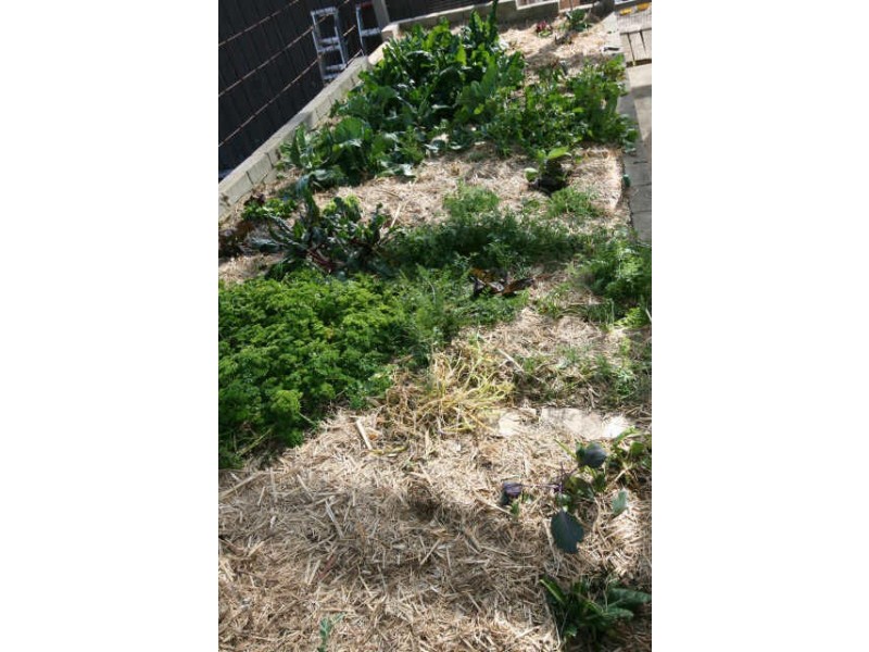 25 River Street, Oaks Estate ACT 2620