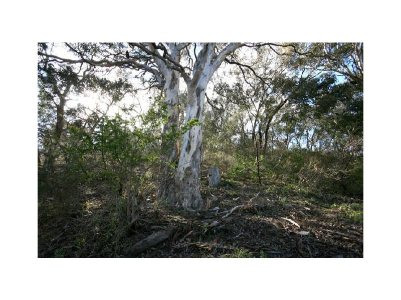 46 Elizabeth Crescent, Queanbeyan NSW 2620