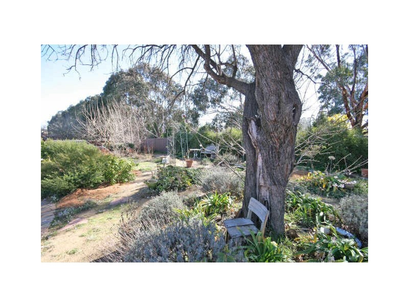 38 MacQuoid Street, Queanbeyan NSW 2620