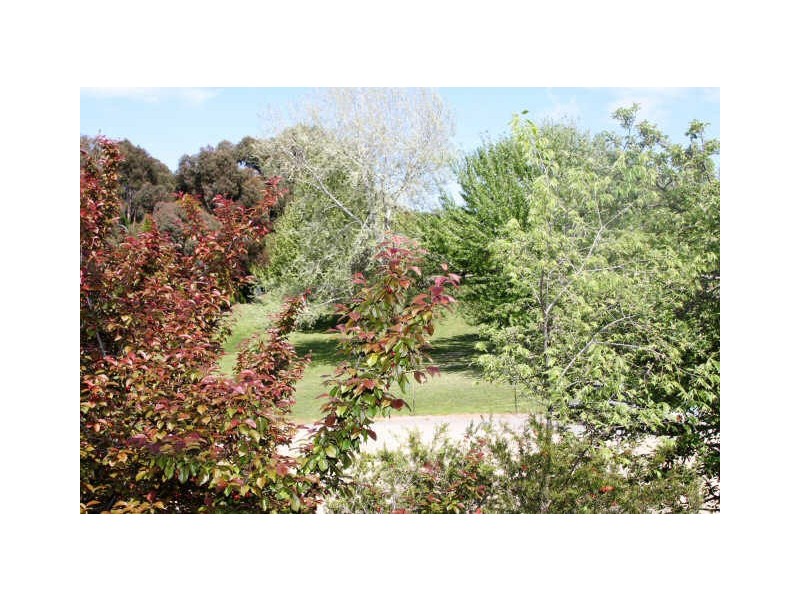 16/10 Wanniassa Street, Queanbeyan NSW 2620