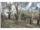 493 Manar Road, Bungendore NSW 2621