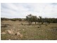 493 Manar Road, Bungendore NSW 2621