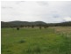 72 Wild Cattle Flat Road, Captains Flat NSW 2623