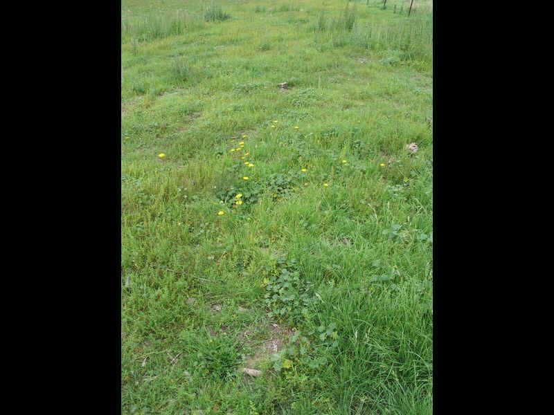 72 Wild Cattle Flat Road, Captains Flat NSW 2623