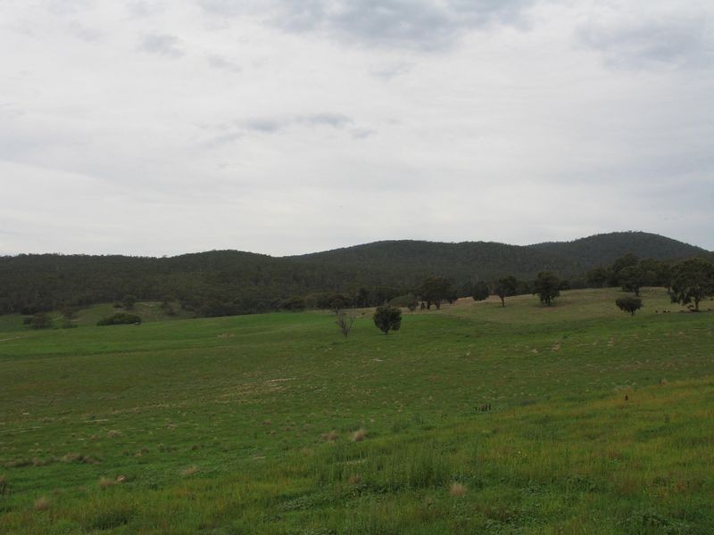 72 Wild Cattle Flat Road, Captains Flat NSW 2623