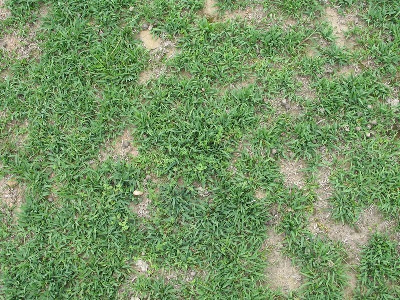 72 Wild Cattle Flat Road, Captains Flat NSW 2623