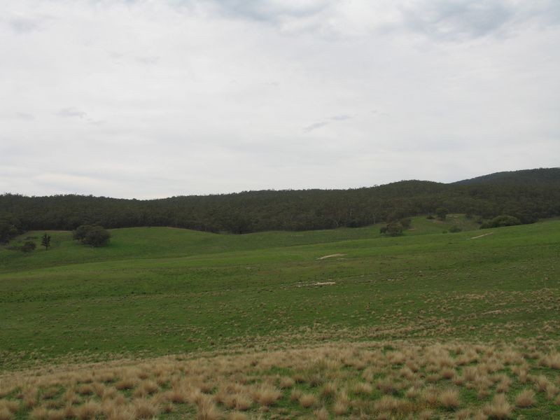 72 Wild Cattle Flat Road, Captains Flat NSW 2623