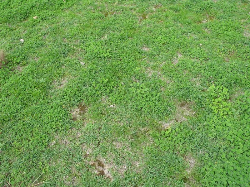 72 Wild Cattle Flat Road, Captains Flat NSW 2623