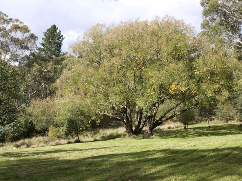 5 Harolds Cross Road, Captains Flat NSW 2623