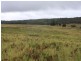 1076 Mayfield Road, Tarago NSW 2580