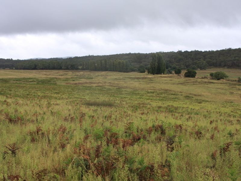 1076 Mayfield Road, Tarago NSW 2580
