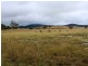 1076 Mayfield Road, Tarago NSW 2580