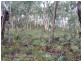 1076 Mayfield Road, Tarago NSW 2580