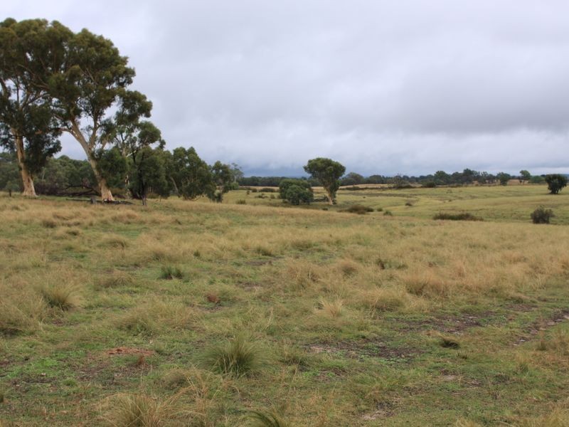 1076 Mayfield Road, Tarago NSW 2580