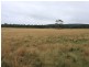 1076 Mayfield Road, Tarago NSW 2580