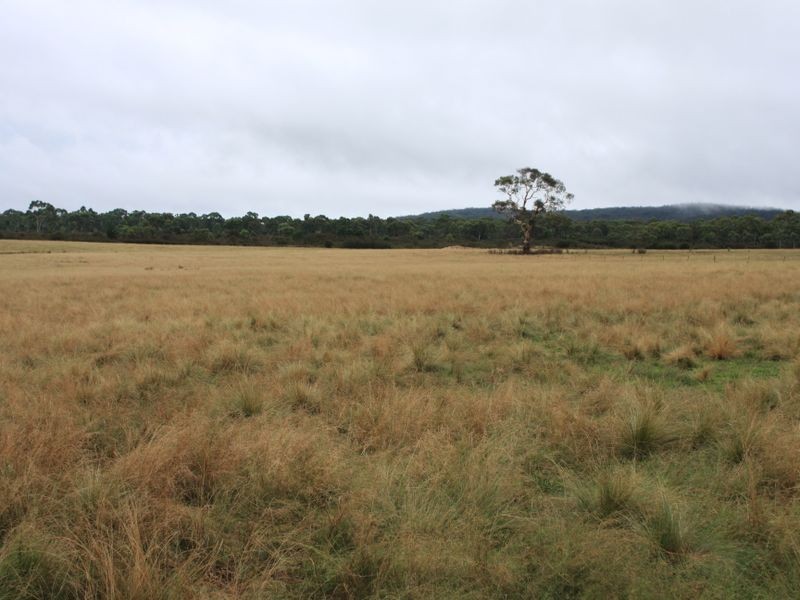 1076 Mayfield Road, Tarago NSW 2580