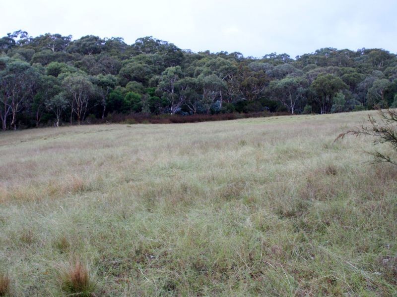 1076 Mayfield Road, Tarago NSW 2580