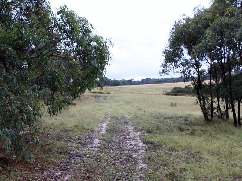 1076 Mayfield Road, Tarago NSW 2580