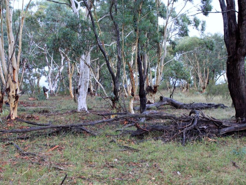 1076 Mayfield Road, Tarago NSW 2580