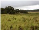 1076 Mayfield Road, Tarago NSW 2580
