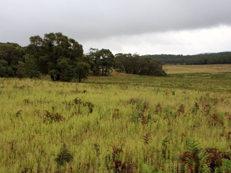 1076 Mayfield Road, Tarago NSW 2580