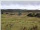 1076 Mayfield Road, Tarago NSW 2580