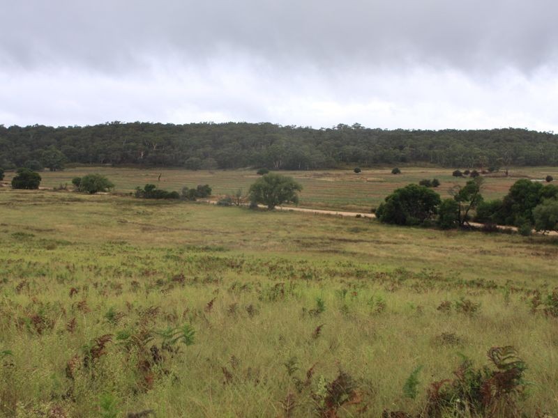 1076 Mayfield Road, Tarago NSW 2580
