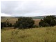 1076 Mayfield Road, Tarago NSW 2580