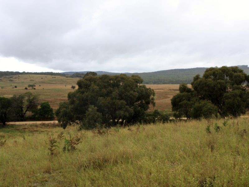 1076 Mayfield Road, Tarago NSW 2580