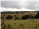 1076 Mayfield Road, Tarago NSW 2580
