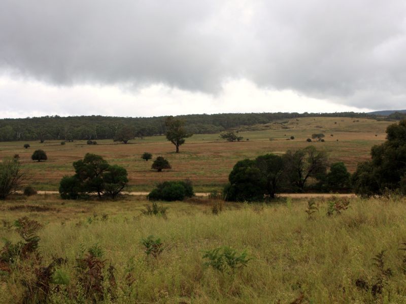 1076 Mayfield Road, Tarago NSW 2580