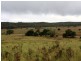 1076 Mayfield Road, Tarago NSW 2580