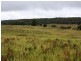 1076 Mayfield Road, Tarago NSW 2580