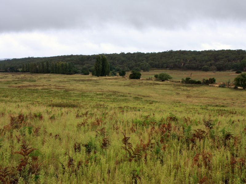 1076 Mayfield Road, Tarago NSW 2580