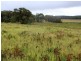 1076 Mayfield Road, Tarago NSW 2580