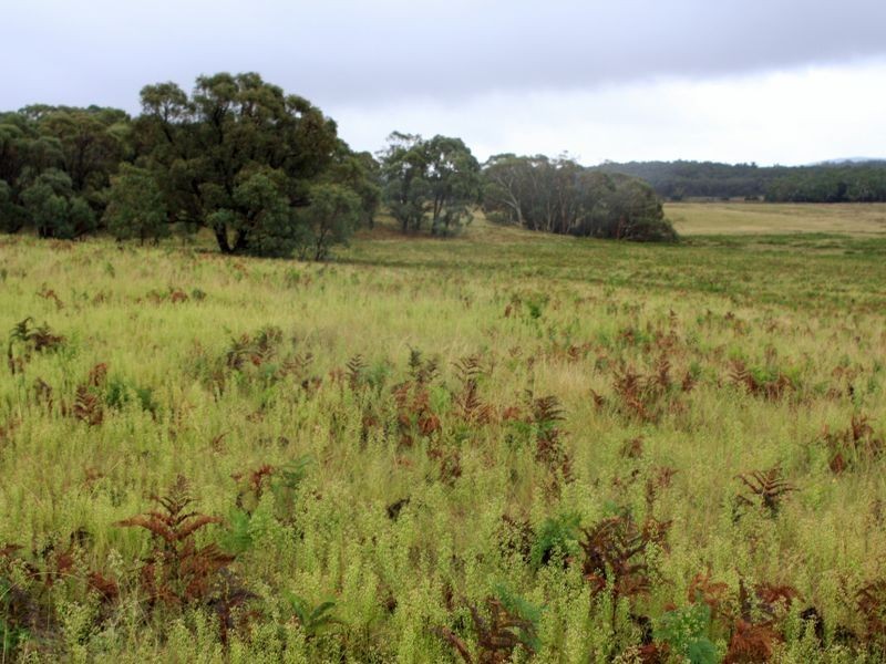 1076 Mayfield Road, Tarago NSW 2580