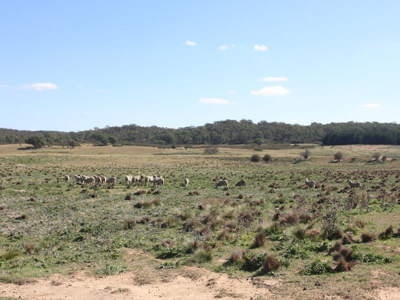 550 Stewarts Road ‘ Riverside’, Braidwood NSW 2622