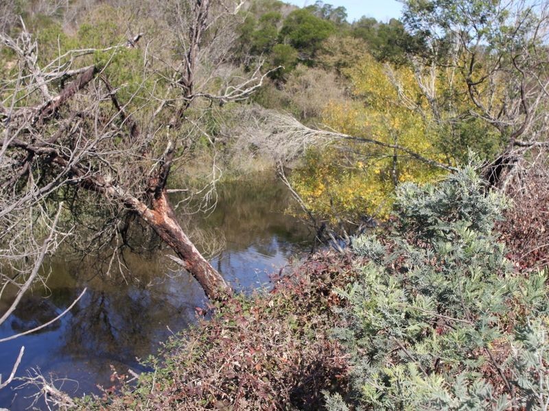 550 Stewarts Road ‘ Riverside’, Braidwood NSW 2622