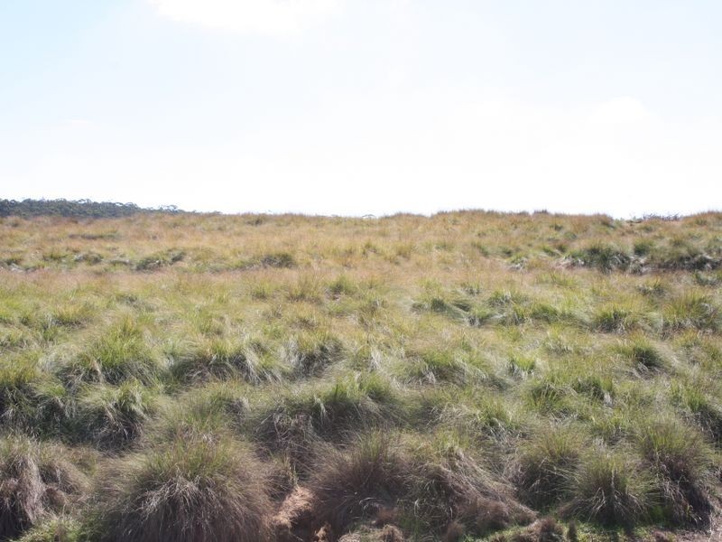 550 Stewarts Road ‘ Riverside’, Braidwood NSW 2622